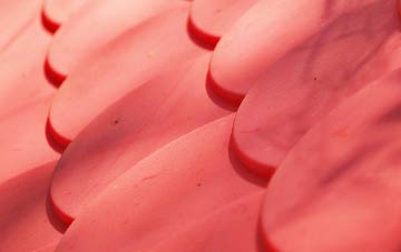 Wormbridge plastic roof costs